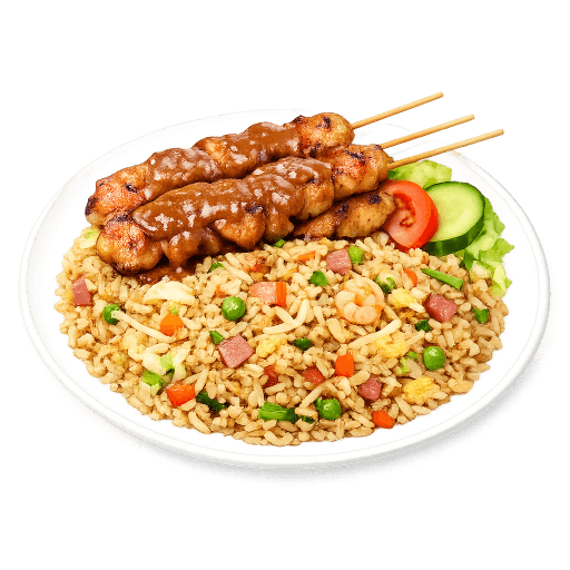 Nasi Schotel